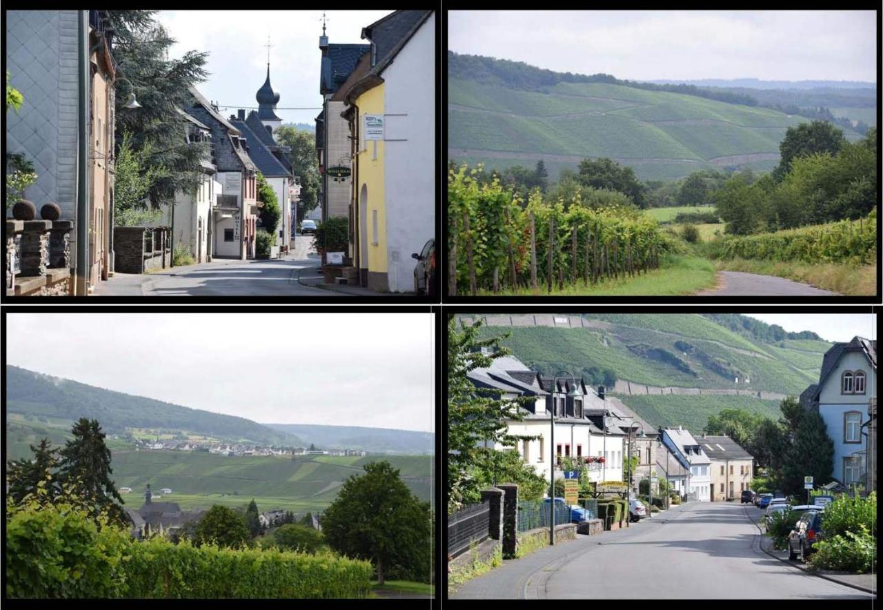 The Old Gemeinde House By The Mosel River Brauneberg Exterior photo